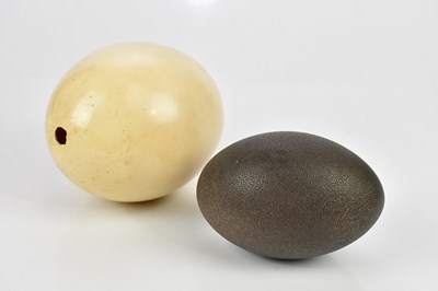 Lot 1456 - A blown out ostrich egg, together with an...