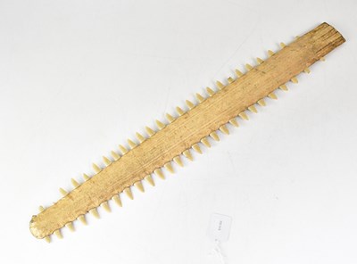 Lot 583 - A sawfish rostrum, Pristis Pristis, length 64cm.