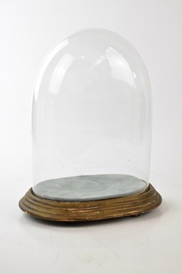 Lot 1462 - A Victorian oval glass dome on gilt painted...