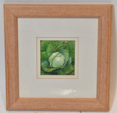 Lot 187A - JULIA CORRIGAN; watercolour, 'Little Cabbage',...