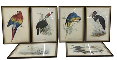 Lot 303 - A set of six colour prints of birds including...