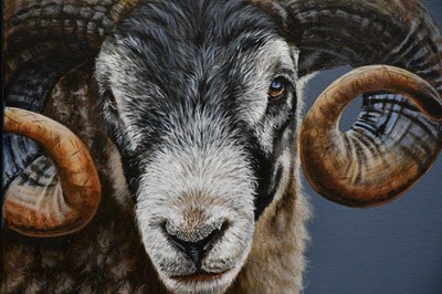 Lot 1835 - GINA HAWKSHAW; oil on canvas, 'A Ram's...