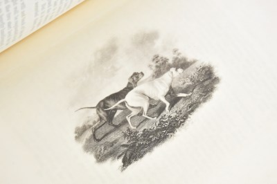 Lot 81 - ARKWRIGHT (W), THE POINTER AND HIS...