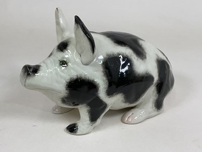 Lot 156 - WEMYSS; a very large black and white pig, with...