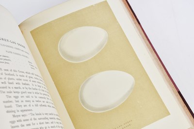 Lot 73 - MORRIS (REV F) A NATURAL HISTORY OF THE NESTS...