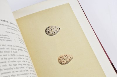 Lot 73 - MORRIS (REV F) A NATURAL HISTORY OF THE NESTS...