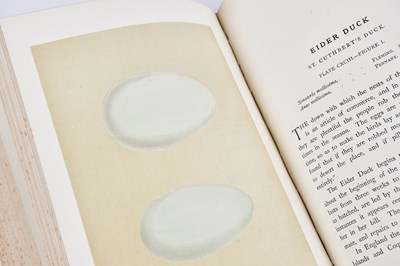 Lot 73 - MORRIS (REV F) A NATURAL HISTORY OF THE NESTS...