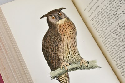 Lot 72 - MORRIS (REV F), A HISTORY OF BRITISH BIRDS, 6...