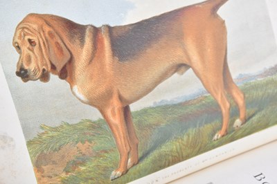 Lot 80 - SHAW (V), THE ILLUSTRATED BOOK OF THE DOG,...