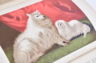 Lot 80 - SHAW (V), THE ILLUSTRATED BOOK OF THE DOG,...