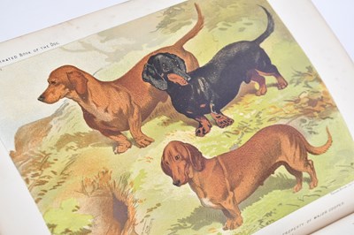 Lot 80 - SHAW (V), THE ILLUSTRATED BOOK OF THE DOG,...