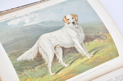 Lot 80 - SHAW (V), THE ILLUSTRATED BOOK OF THE DOG,...