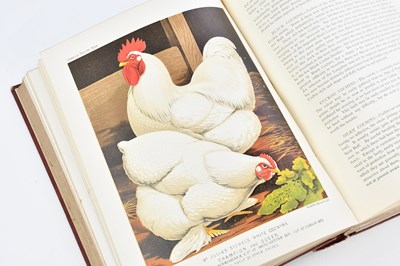 Lot 75 - WRIGHT (L), THE ILLUSTRATED BOOK OF POULTRY,...