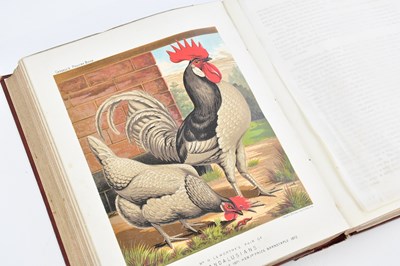 Lot 75 - WRIGHT (L), THE ILLUSTRATED BOOK OF POULTRY,...