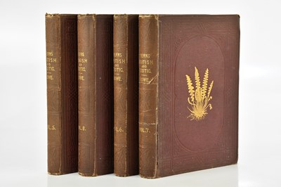 Lot 110 - LOWE (E), FERNS: BRITISH AND EXOTIC, Vols...