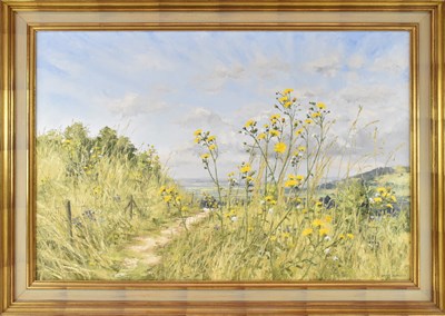 Lot 134 - BRIAN BENNETT; oil on canvas, 'Sowthistle on...