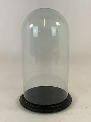 Lot 47 - A glass dome with ebonised wooden base, height...