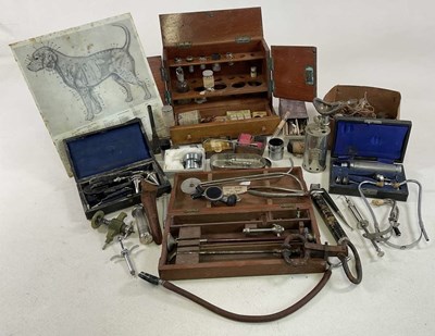 Lot 36 - A collection of veterinary items, including a...