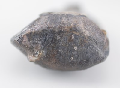 Lot 78 - NIC COLLINS (born 1958); a wood fired...