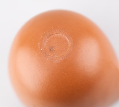 Lot 104 - TINA VLASSOPULOS (born 1954); a burnished red...