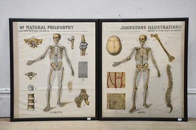 Lot 364 - JOHNSTON'S ILLUSTRATIONS; a pair of physiology...