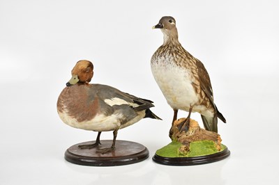 Lot 1319 - A taxidermy Eurasian wigeon, on wooden base,...