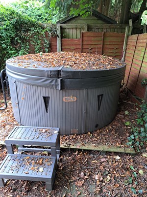 Lot 249 - BRITISH HOT TUBS; 'Winston', purchased for...